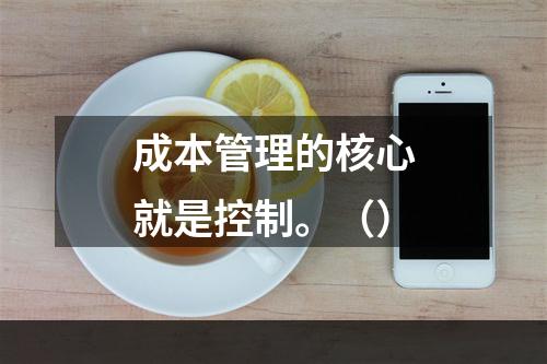 成本管理的核心就是控制。（）