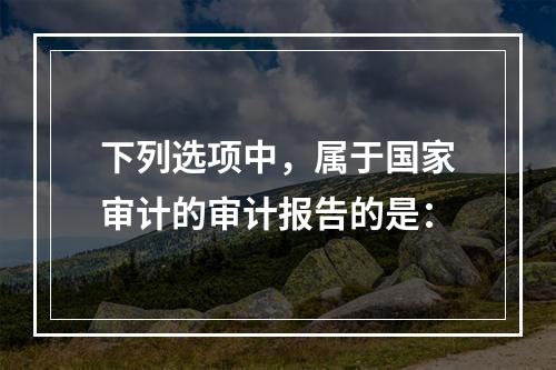 下列选项中，属于国家审计的审计报告的是：