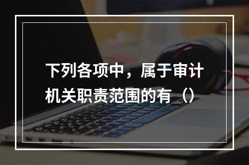 下列各项中，属于审计机关职责范围的有（）