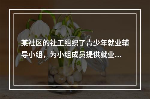 某社区的社工组织了青少年就业辅导小组，为小组成员提供就业信息