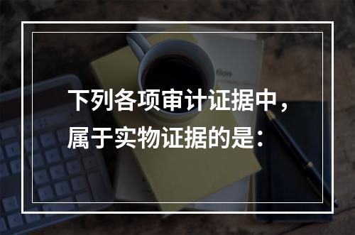 下列各项审计证据中，属于实物证据的是：