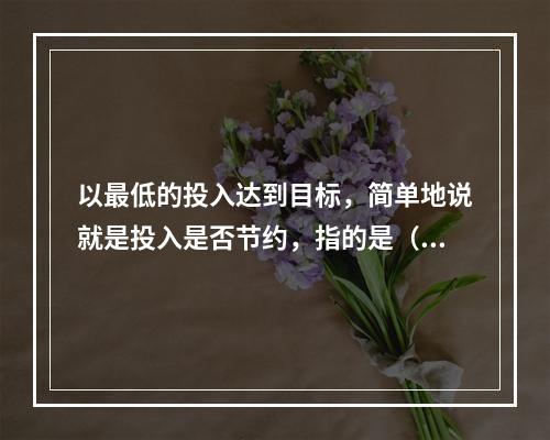 以最低的投入达到目标，简单地说就是投入是否节约，指的是（）