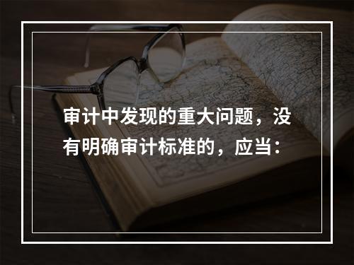 审计中发现的重大问题，没有明确审计标准的，应当：