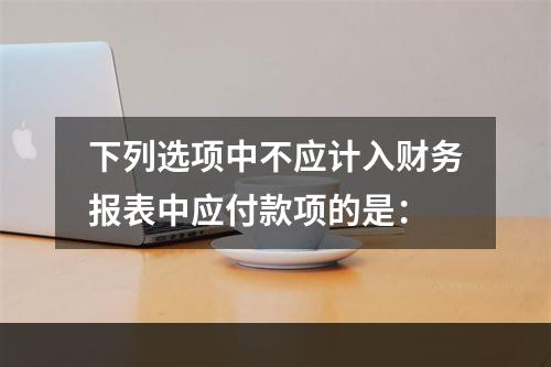 下列选项中不应计入财务报表中应付款项的是：