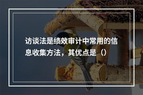 访谈法是绩效审计中常用的信息收集方法，其优点是（）