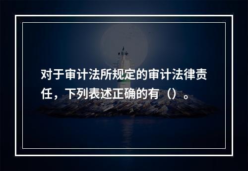 对于审计法所规定的审计法律责任，下列表述正确的有（）。