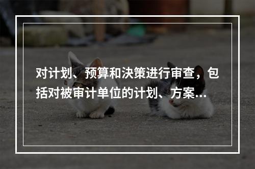 对计划、预算和決策进行审查，包括对被审计单位的计划、方案和预