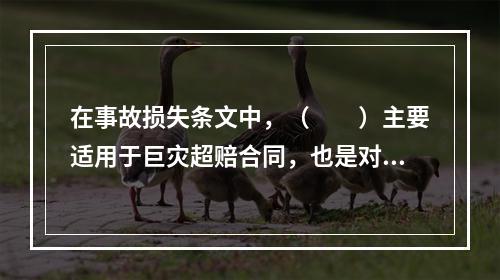 在事故损失条文中，（　　）主要适用于巨灾超赔合同，也是对事故