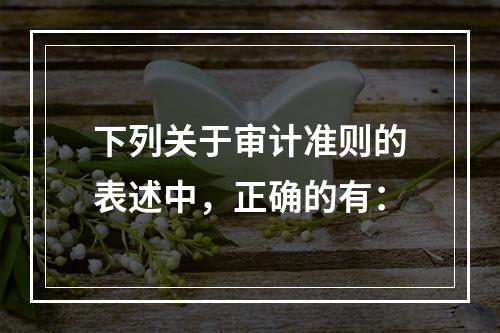 下列关于审计准则的表述中，正确的有：