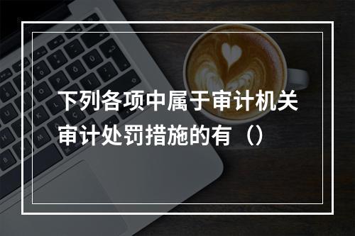 下列各项中属于审计机关审计处罚措施的有（）