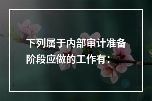 下列属于内部审计准备阶段应做的工作有：