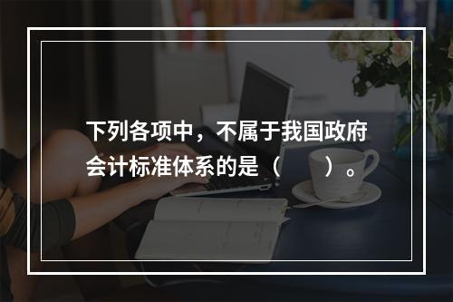 下列各项中，不属于我国政府会计标准体系的是（　　）。