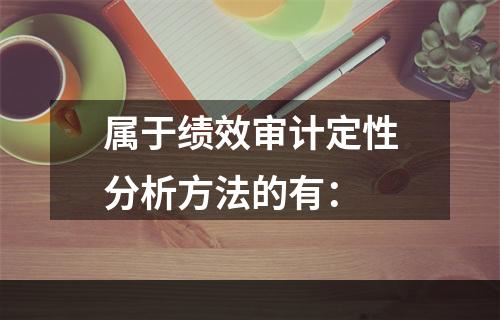 属于绩效审计定性分析方法的有：