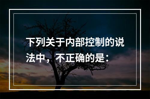 下列关于内部控制的说法中，不正确的是：