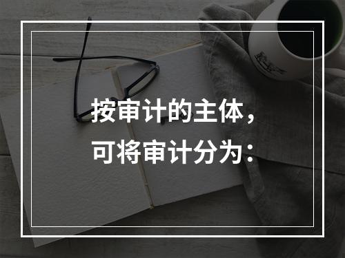 按审计的主体，可将审计分为：