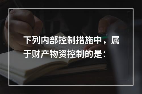 下列内部控制措施中，属于财产物资控制的是：