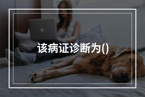 该病证诊断为()