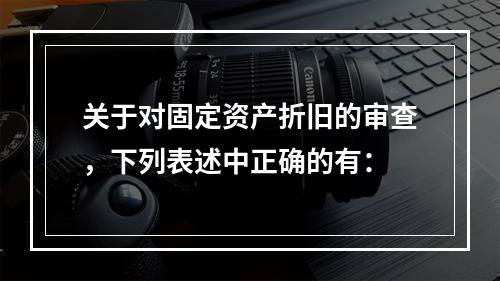 关于对固定资产折旧的审查，下列表述中正确的有：