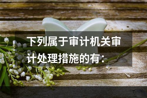 下列属于审计机关审计处理措施的有：