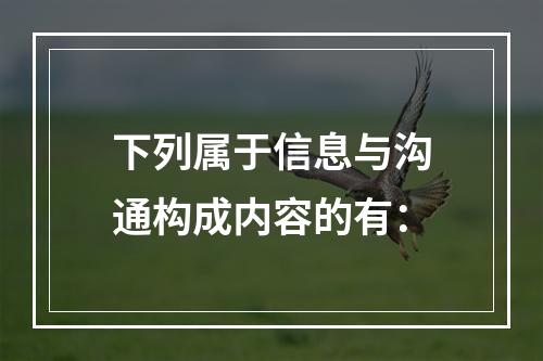 下列属于信息与沟通构成内容的有：