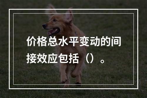 价格总水平变动的间接效应包括（）。