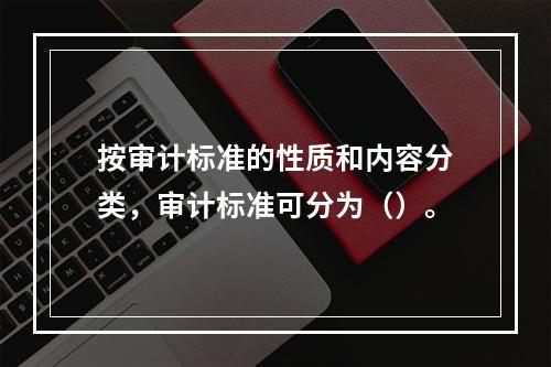 按审计标准的性质和内容分类，审计标准可分为（）。