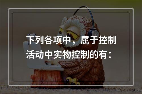 下列各项中，属于控制活动中实物控制的有：