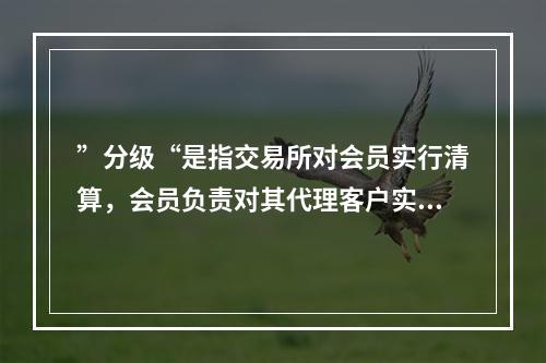 ”分级“是指交易所对会员实行清算，会员负责对其代理客户实行清