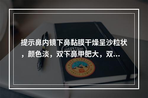 提示鼻内镜下鼻黏膜干燥呈沙粒状，颜色淡，双下鼻甲肥大，双侧咽