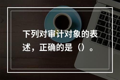 下列对审计对象的表述，正确的是（）。