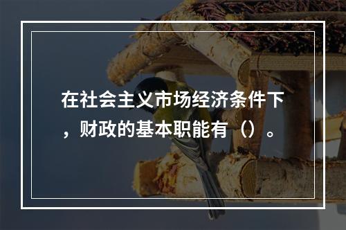 在社会主义市场经济条件下，财政的基本职能有（）。