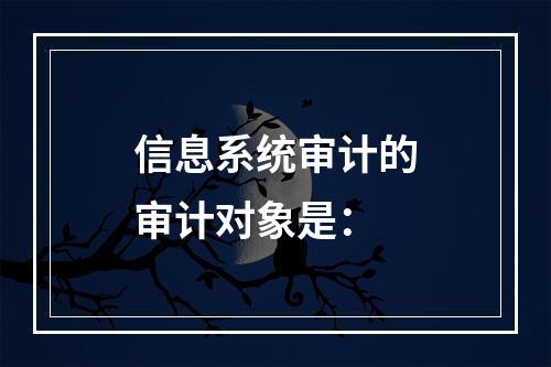 信息系统审计的审计对象是：