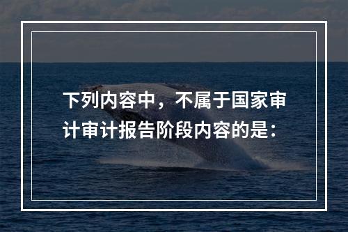 下列内容中，不属于国家审计审计报告阶段内容的是：