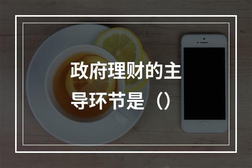 政府理财的主导环节是（）