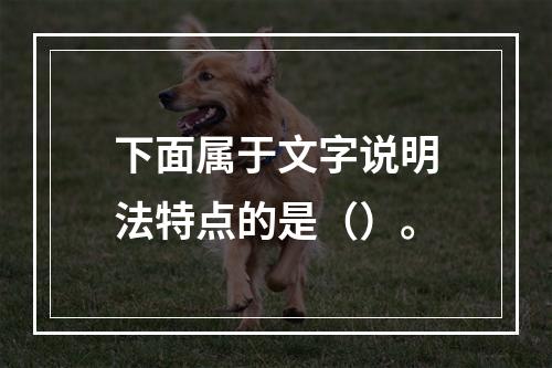 下面属于文字说明法特点的是（）。