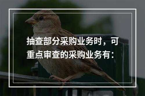 抽查部分采购业务时，可重点审查的采购业务有：