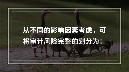 从不同的影响因素考虑，可将审计风险完整的划分为：