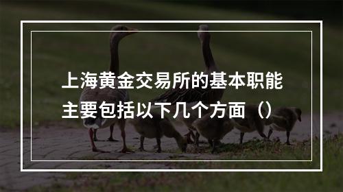 上海黄金交易所的基本职能主要包括以下几个方面（）