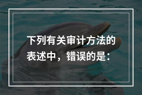 下列有关审计方法的表述中，错误的是：