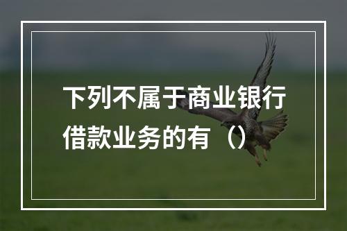 下列不属于商业银行借款业务的有（）