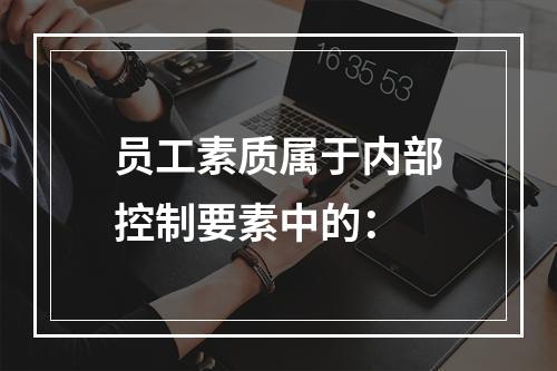 员工素质属于内部控制要素中的：