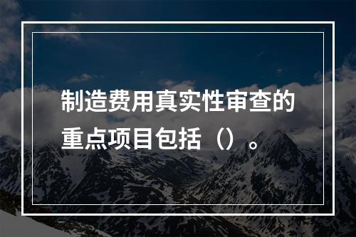 制造费用真实性审查的重点项目包括（）。