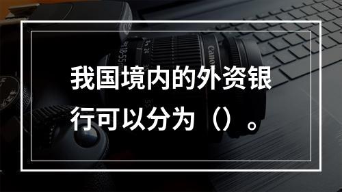 我国境内的外资银行可以分为（）。