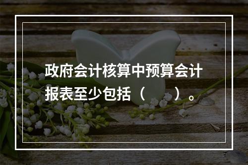 政府会计核算中预算会计报表至少包括（　　）。