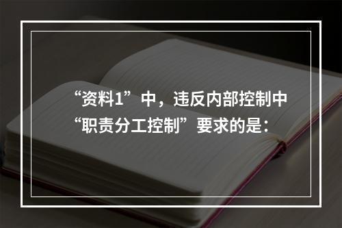 “资料1”中，违反内部控制中“职责分工控制”要求的是：