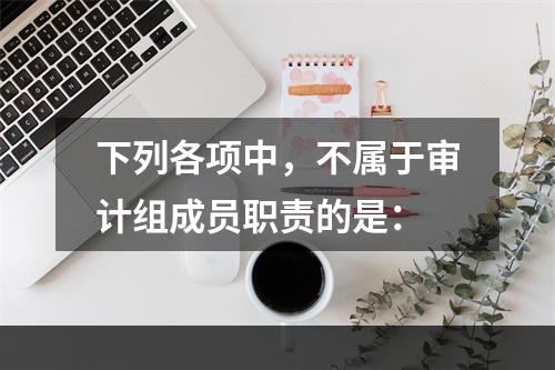 下列各项中，不属于审计组成员职责的是：