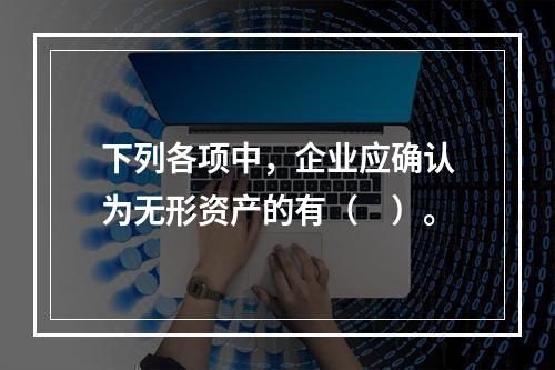 下列各项中，企业应确认为无形资产的有（　）。