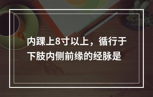 内踝上8寸以上，循行于下肢内侧前缘的经脉是