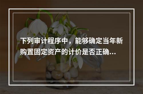 下列审计程序中，能够确定当年新购置固定资产的计价是否正确的是