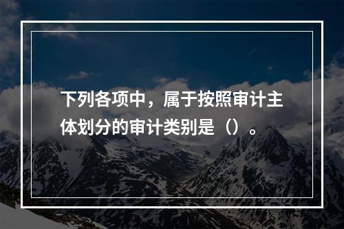 下列各项中，属于按照审计主体划分的审计类别是（）。